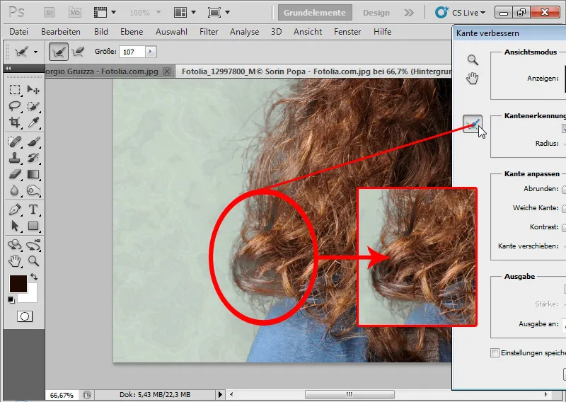 Naujos funkcijos „Photoshop CS5“: Gerinti kraštus ir protingi kaukės. Naujos funkcijos „Photoshop CS5“: patobulinta krašto korekcija ir išmanieji kaukės.