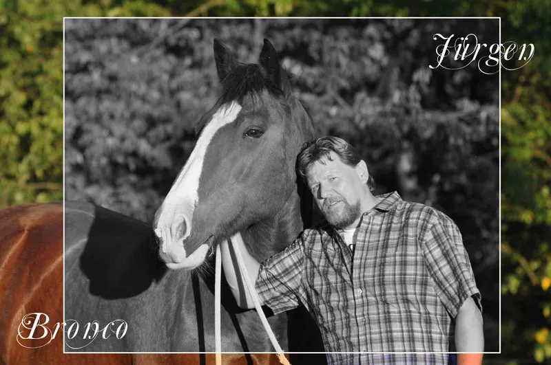 Animal photography part 08: Horse photography Animal photography part 08: Horse photography