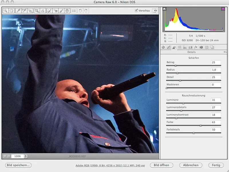 Concert photography - Part 10: The follow-up