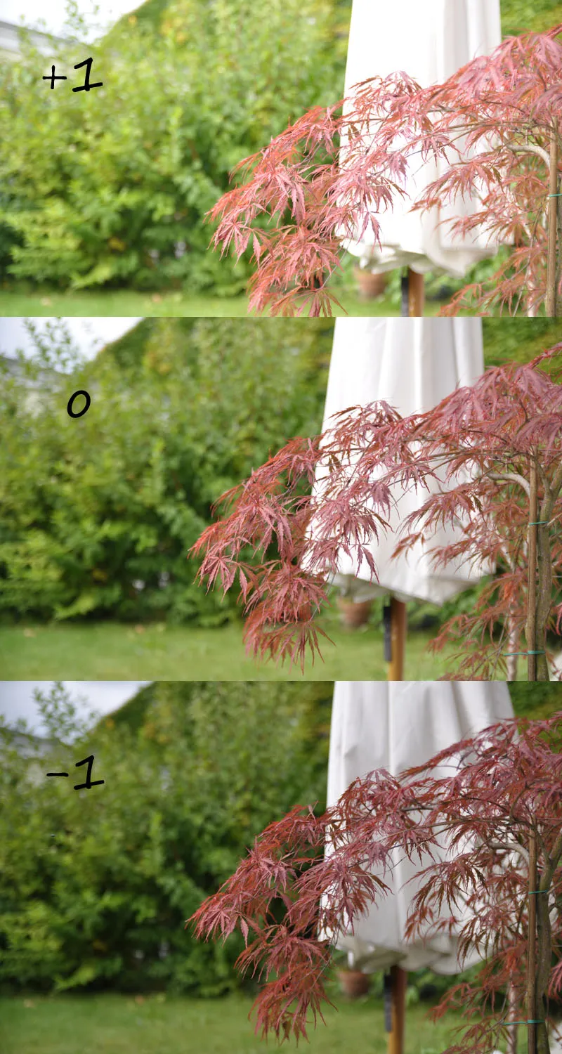 Animal photography part 11: Outdoor shootings