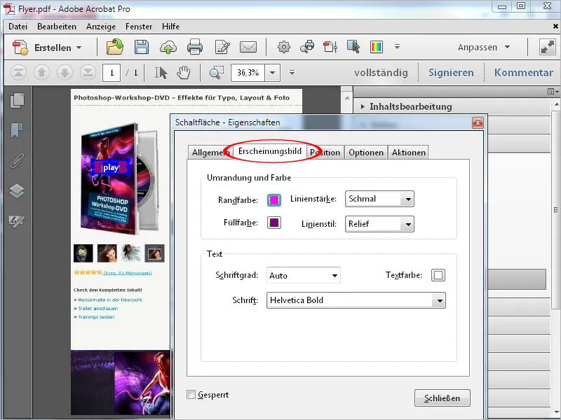 Anreichern von PDF-Dateien mit Acrobat - Teil 2