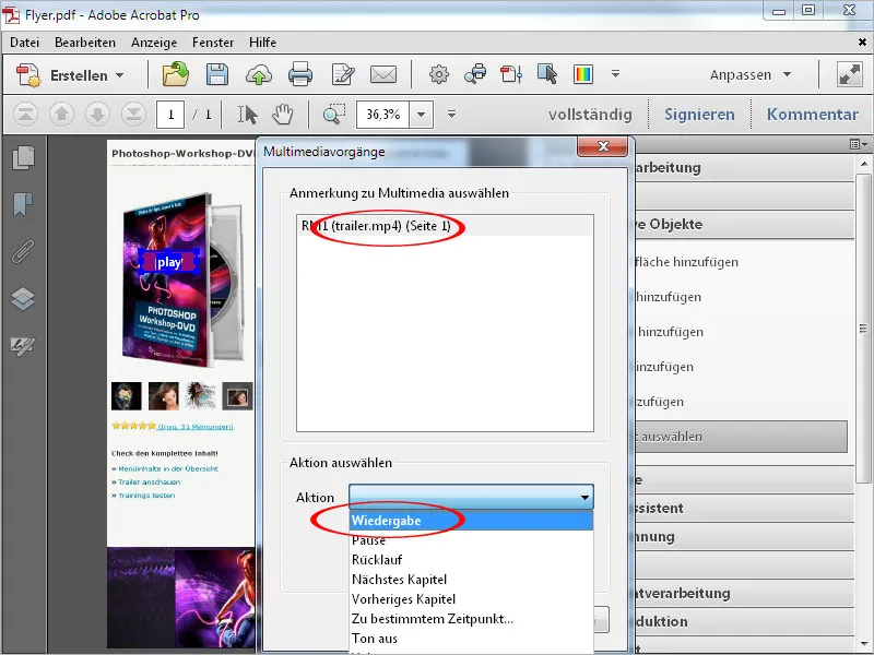 Anreichern von PDF-Dateien mit Acrobat - Teil 2