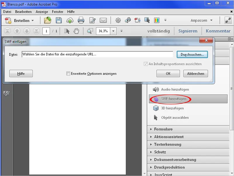 Anreichern von PDF-Dateien mit Acrobat - Teil 2