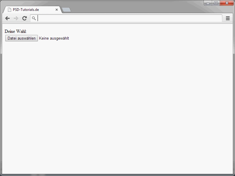 HTML & CSS per principianti (Parte 14): Formulari (2)