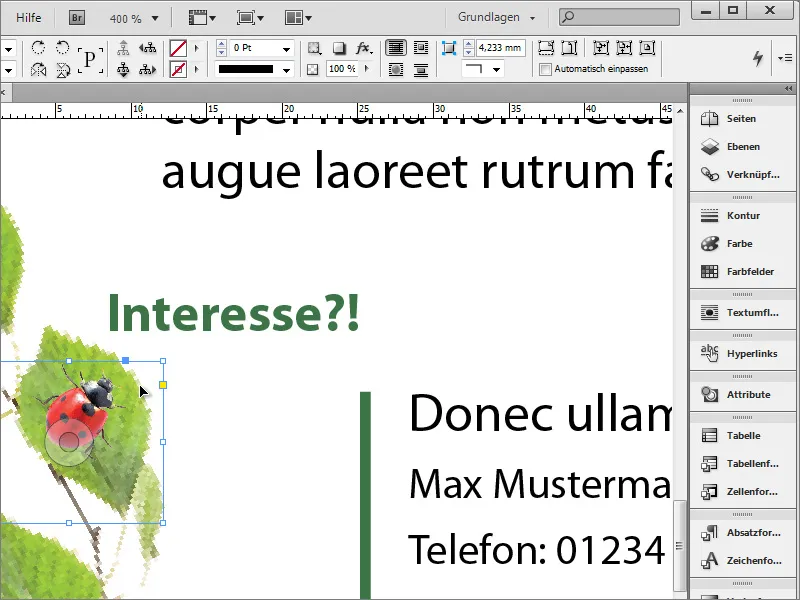 Vytvořte inzerát v programu Adobe InDesign.