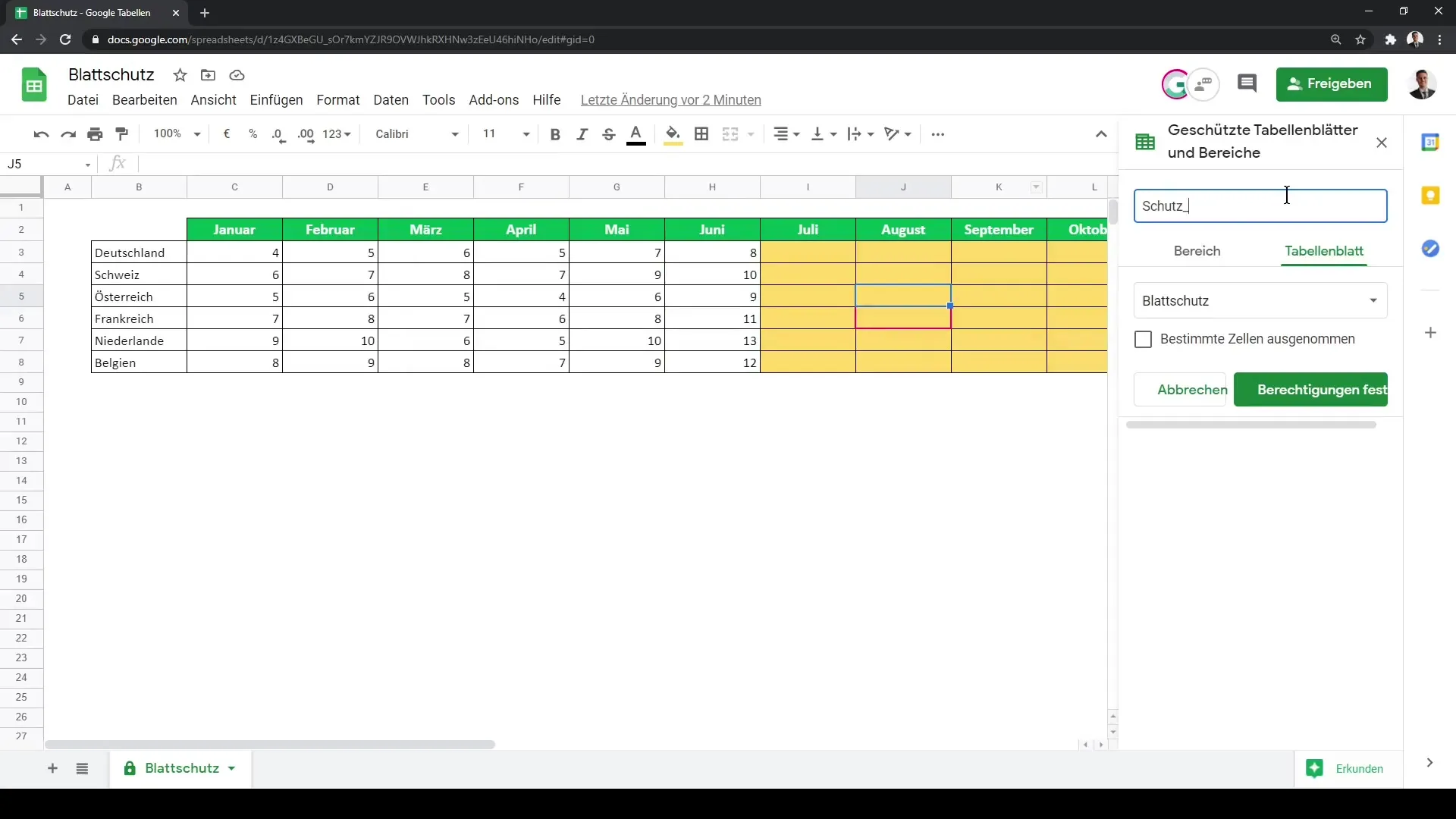 Lehekaitsme seadistamine Google Sheets'i jaoks maksimaalse turvalisuse tagamiseks
