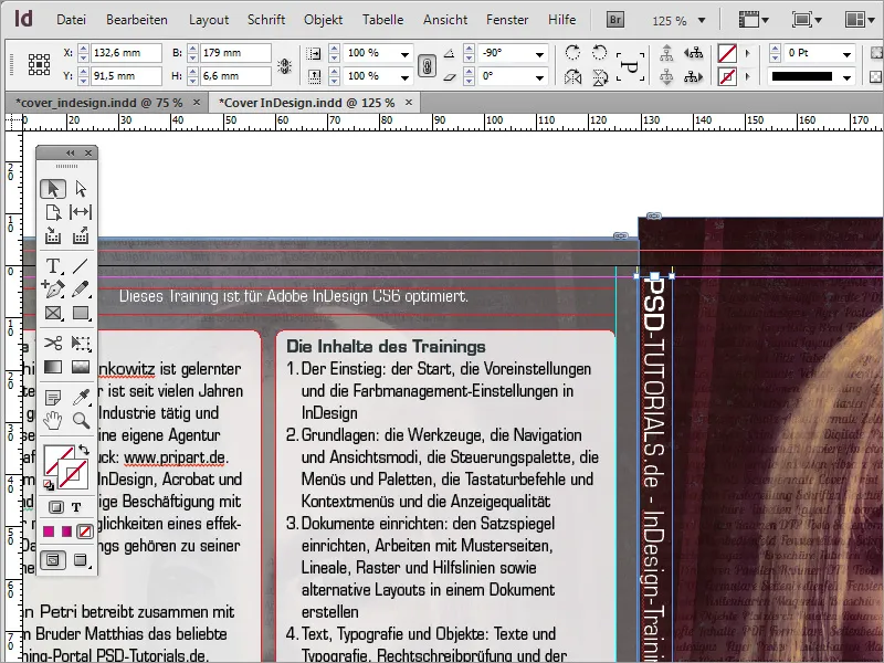 DVD cover and DVD label design - Part 2: Finishing the cover