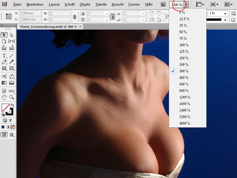 Τα εργαλεία χειρός και ζουμ στο InDesign