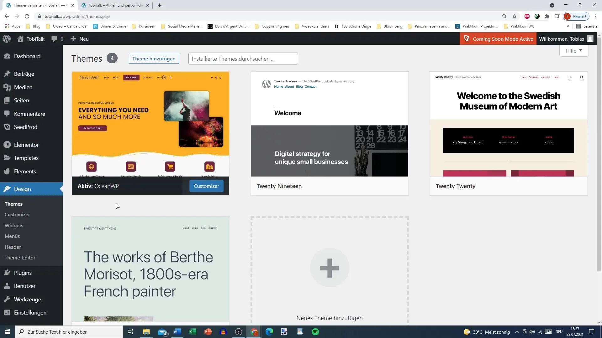 Theme overview for your WordPress site