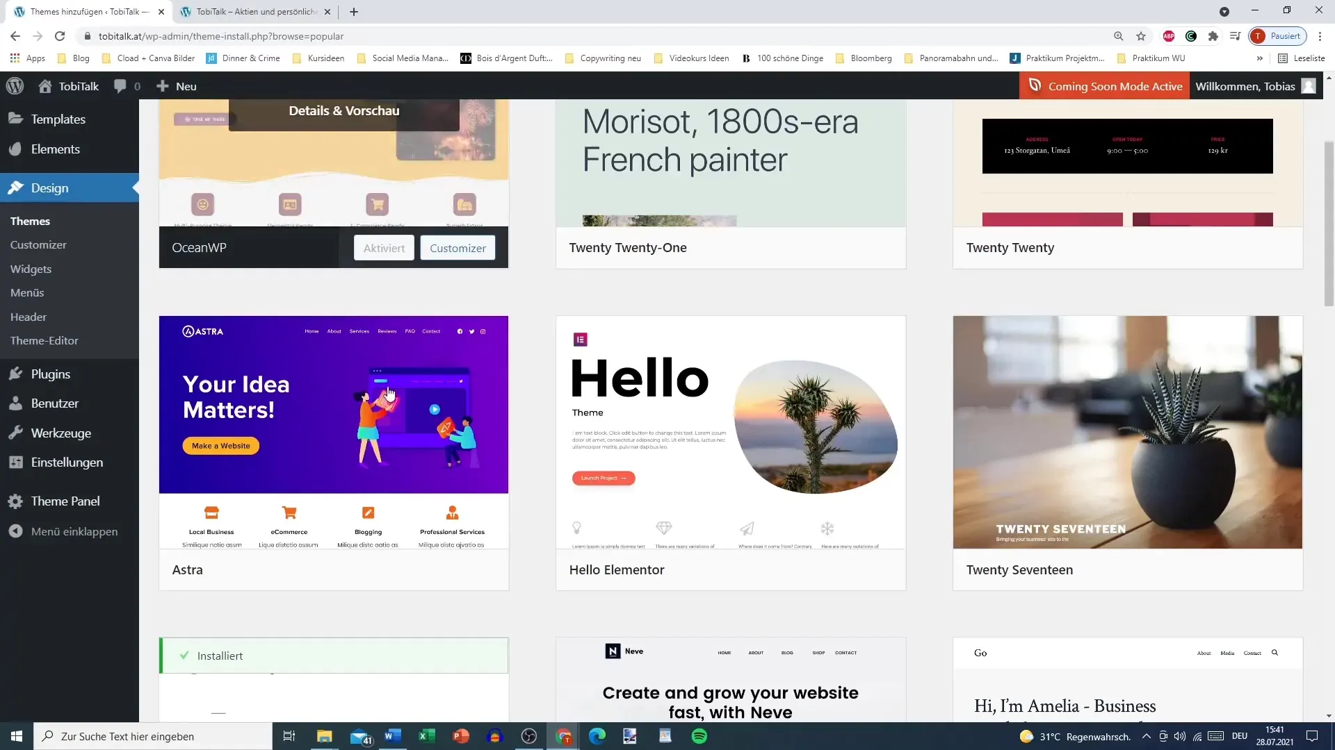Theme overview for your WordPress site