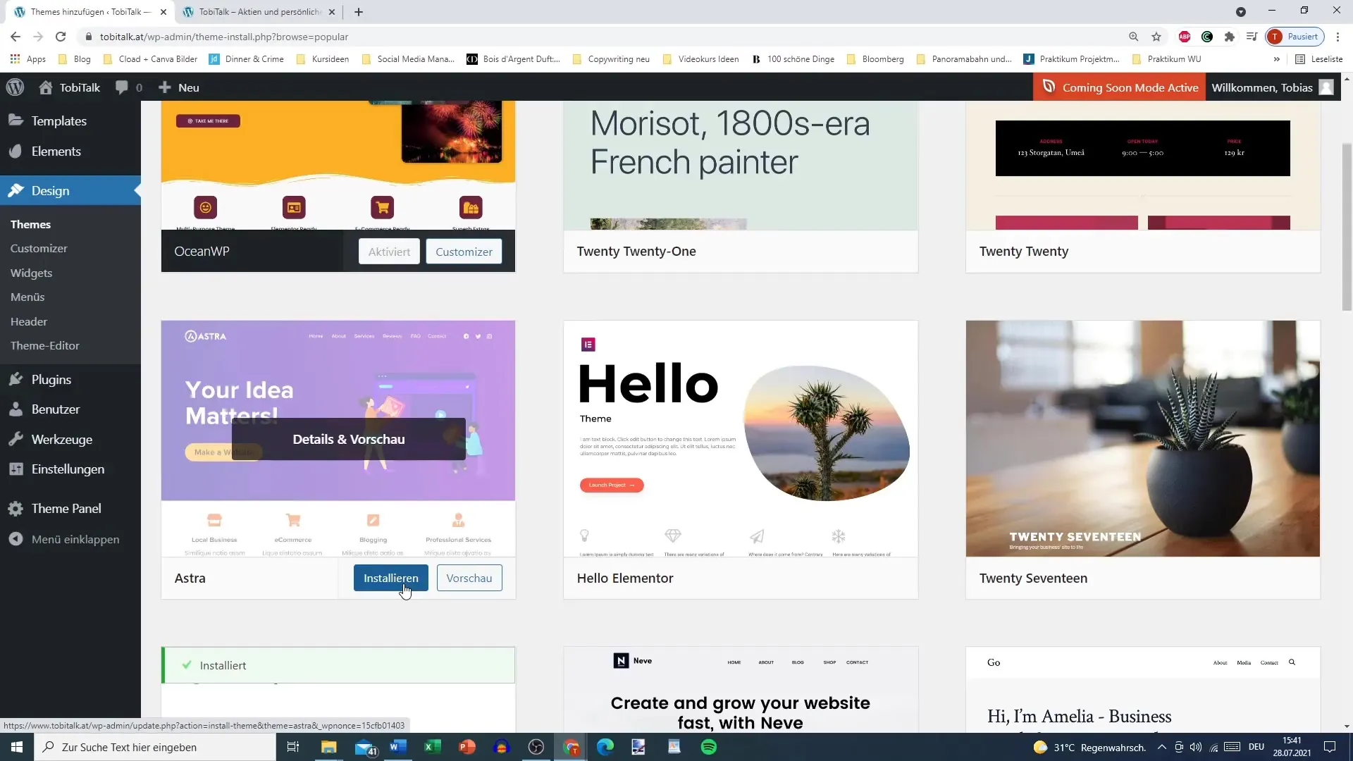 Theme overview for your WordPress site