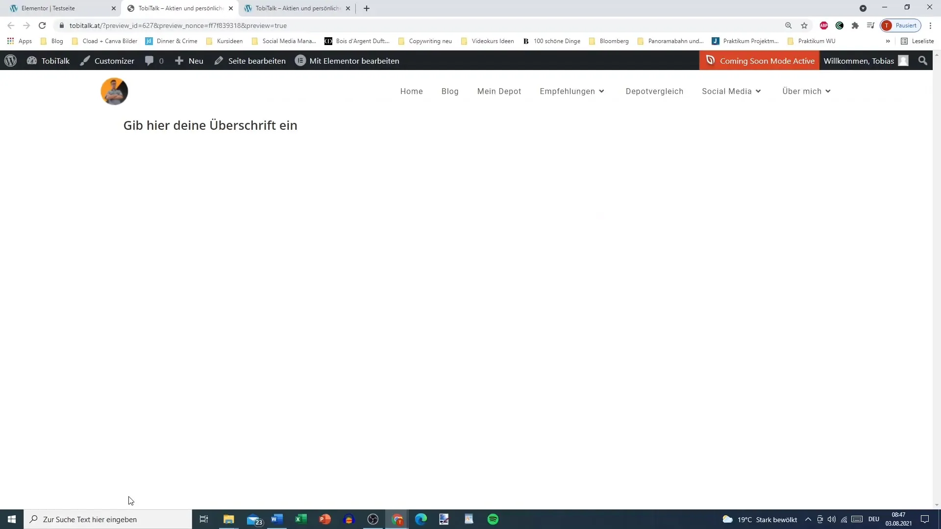 Preview with Elementor: Get an overview of your website