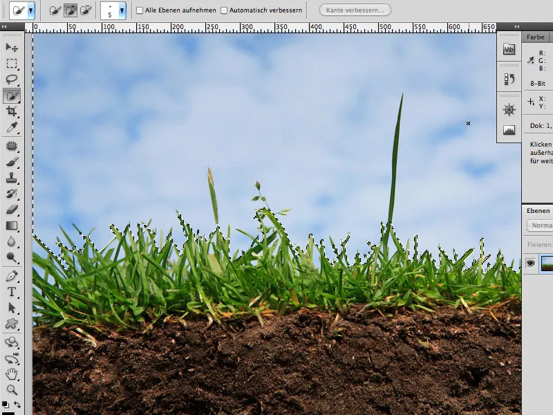Floralt skrift i Photoshop