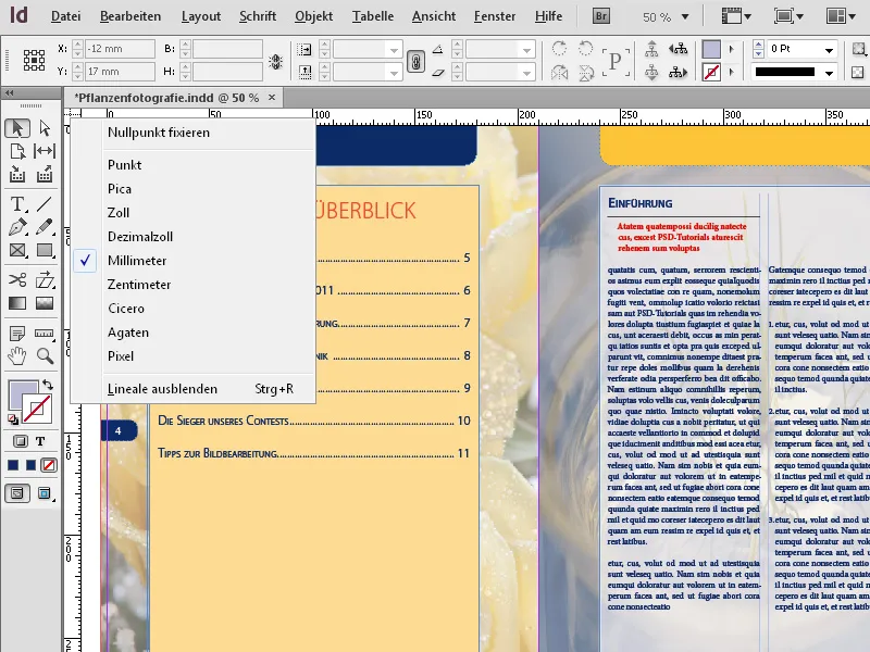 Το μενού περιβάλλοντος στο InDesign