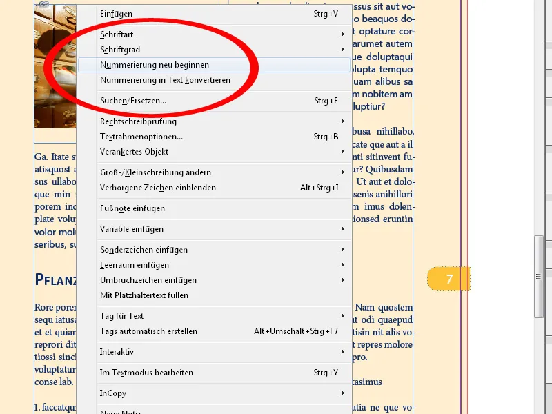 Το μενού περιβάλλοντος στο InDesign