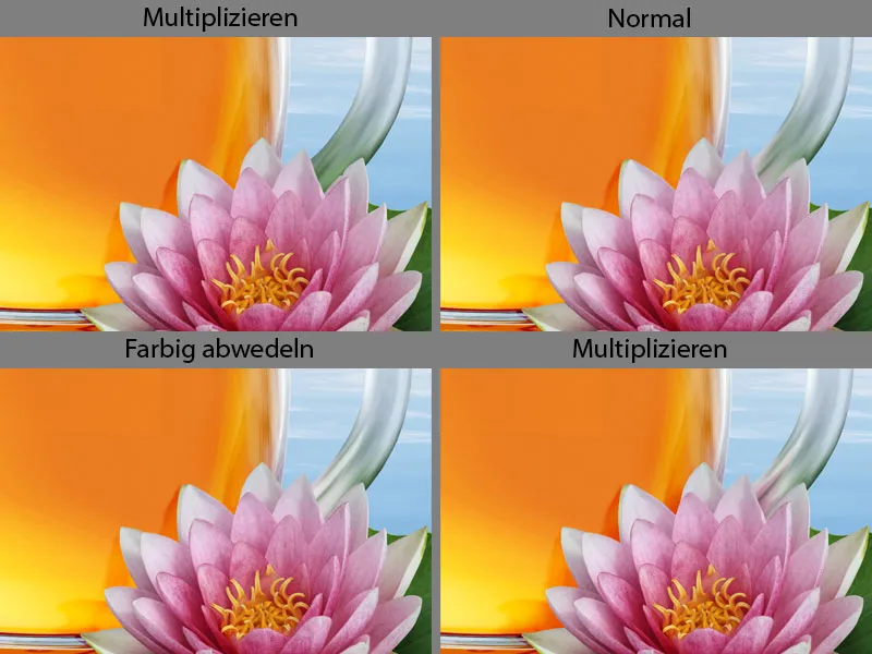Cartel publicitario de Lotus Tea - Parte 05 - Tetera de composición con inserto de letras de loto