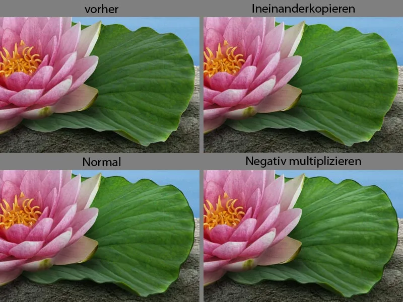 Cartel publicitario de Lotus Tea - Parte 05 - Tetera de composición con inserto de letras de loto
