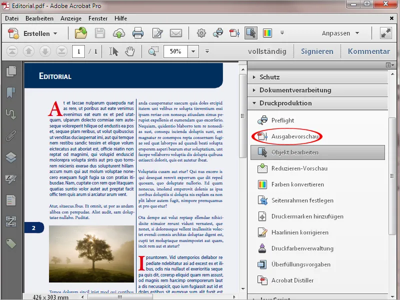 Die Werkzeuge der Druckproduktion in Acrobat