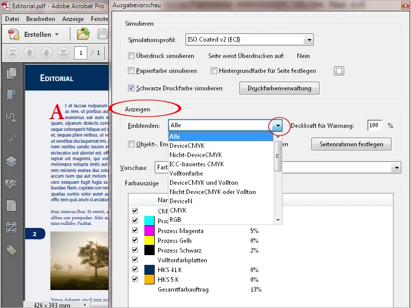 Die Werkzeuge der Druckproduktion in Acrobat