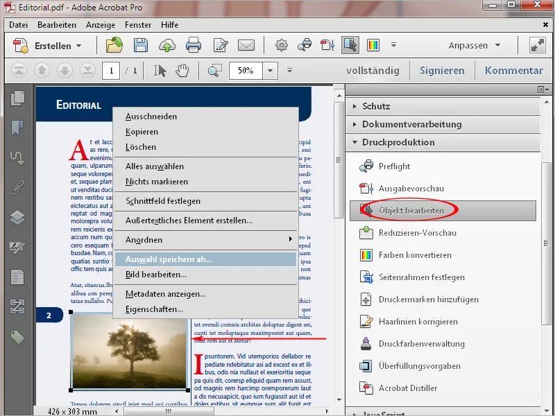 Die Werkzeuge der Druckproduktion in Acrobat