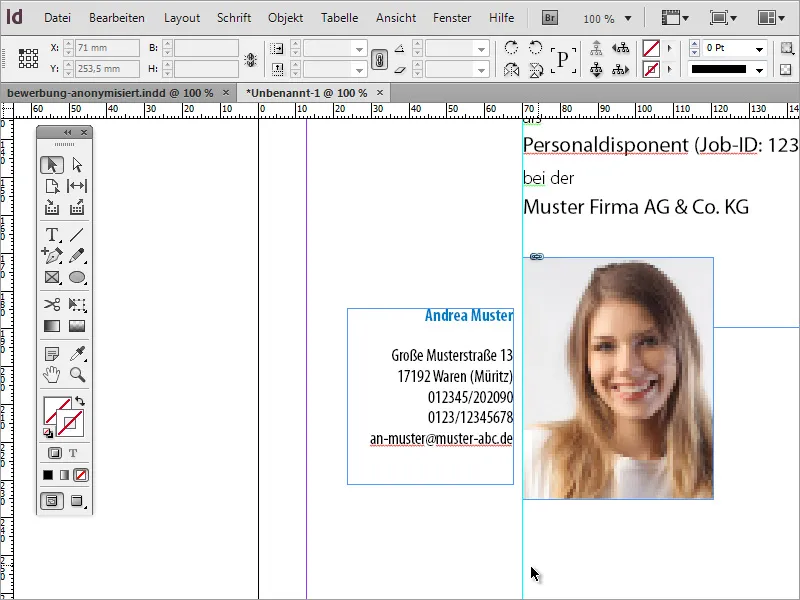 Mendesain desain aplikasi profesional: gaya minimalis.