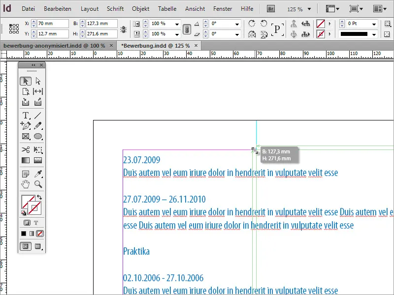 Mendesain desain aplikasi profesional: gaya minimalis