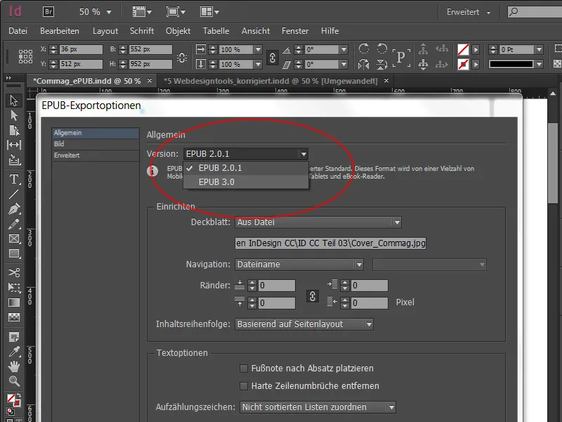 Novedades de Creative Cloud: InDesign CC 9 (junio de 2013) - ePUB