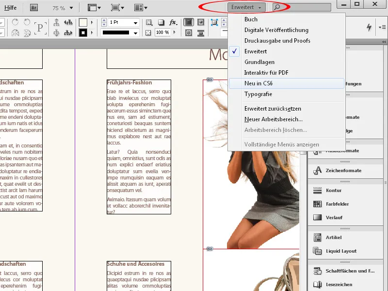 Προσαρμοσμένα μενού και παλέτες στο InDesign