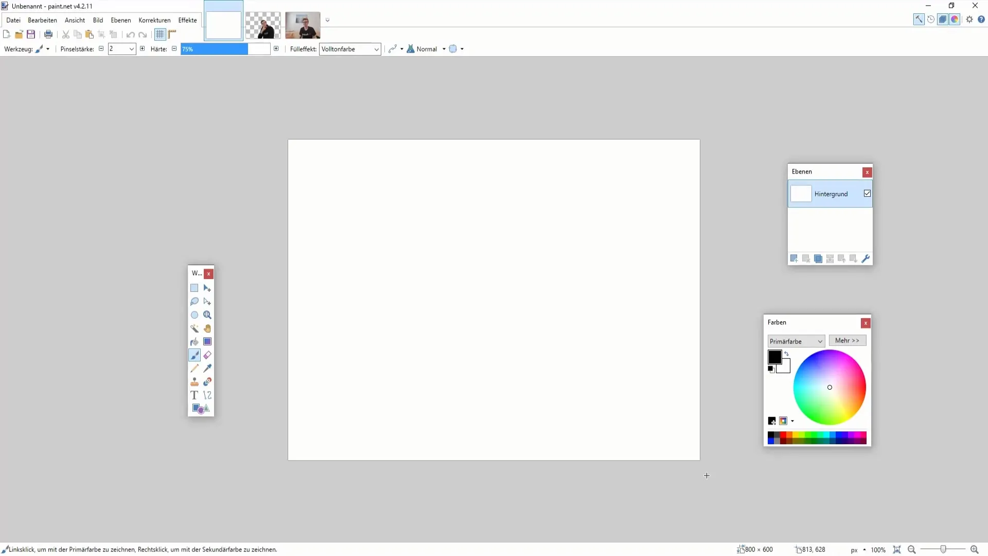 Master the corrections in Paint.NET