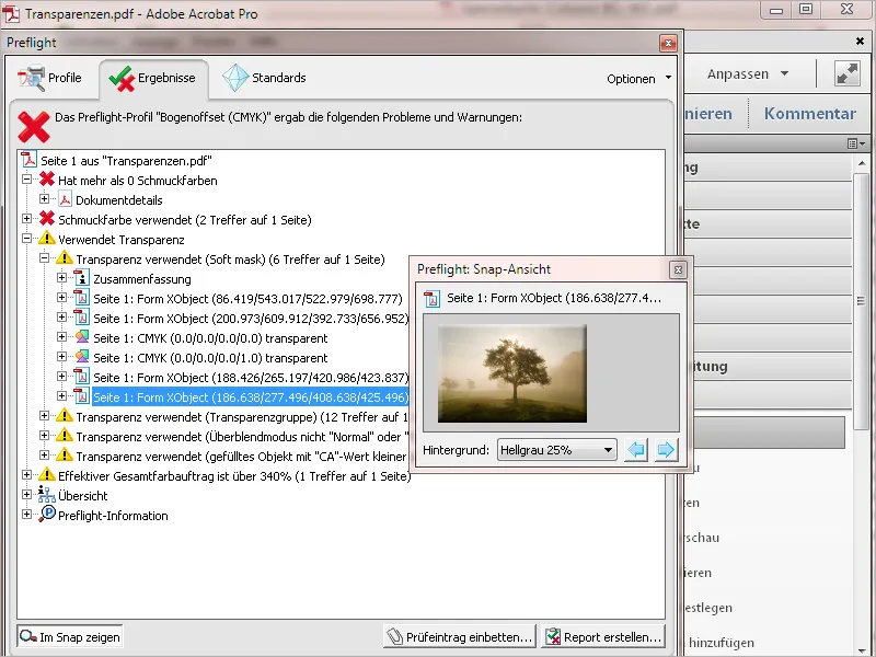 Preflight-Profile in Acrobat - Überblick