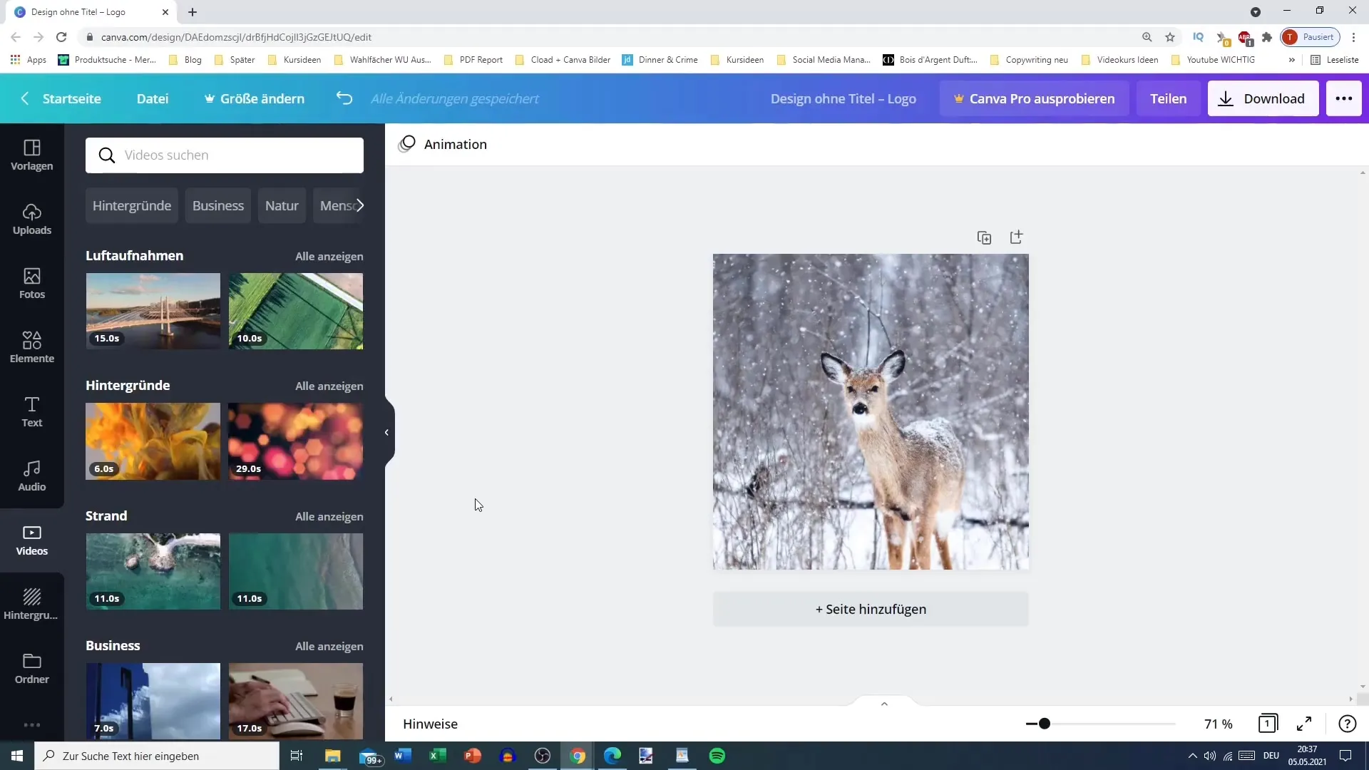 Canva pro fotografie a videa - návod krok za krokem