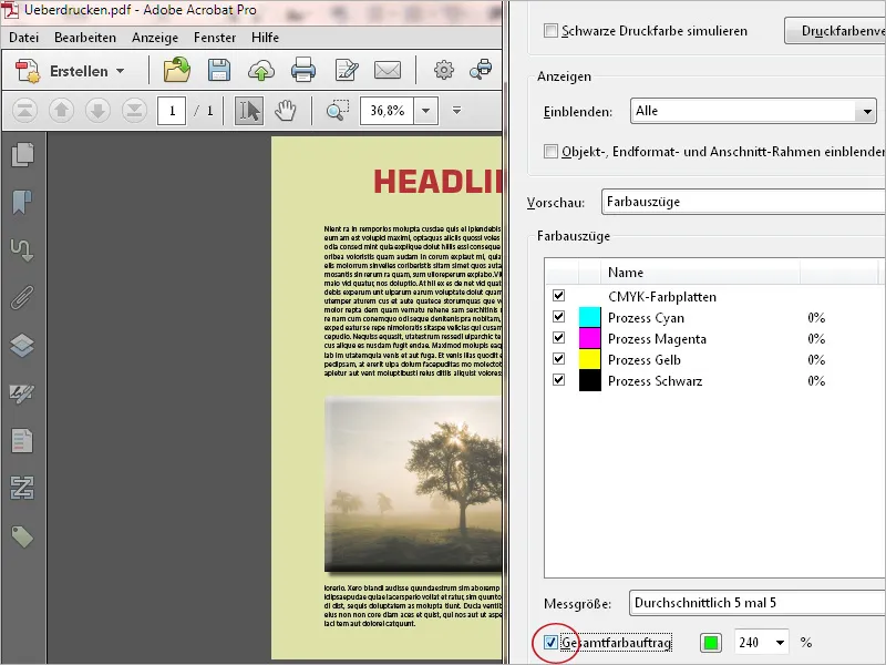 Häufige Probleme bei PDF-Dateien mit Acrobat beheben