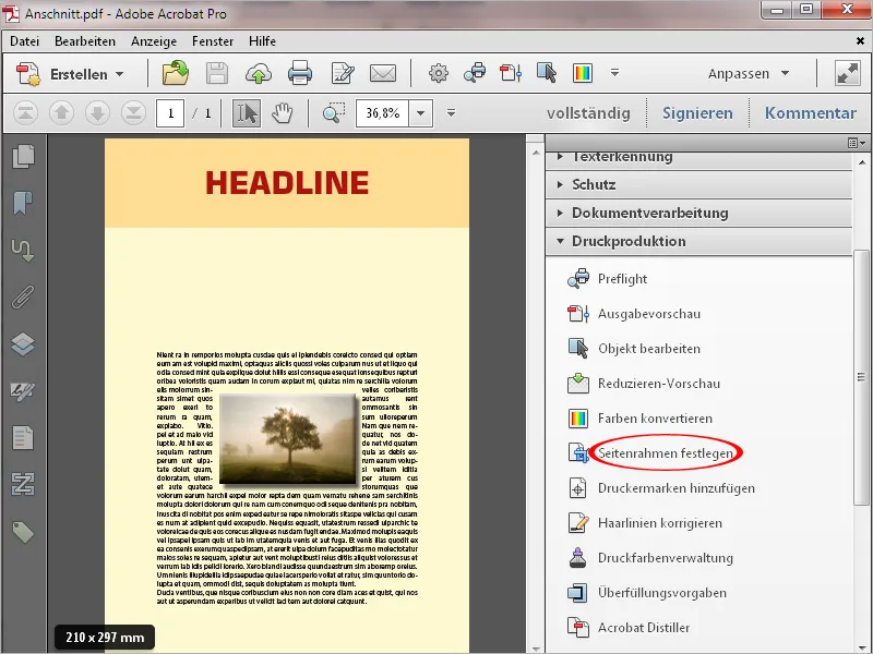 Häufige Probleme bei PDF-Dateien mit Acrobat beheben