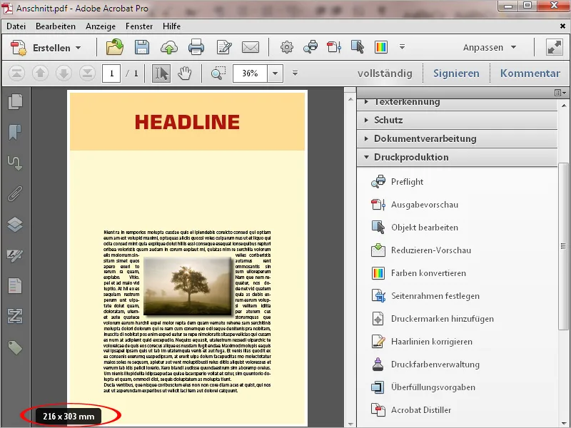 Häufige Probleme bei PDF-Dateien mit Acrobat beheben