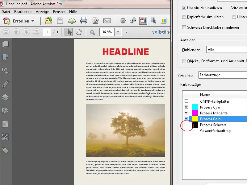 Häufige Probleme bei PDF-Dateien mit Acrobat beheben