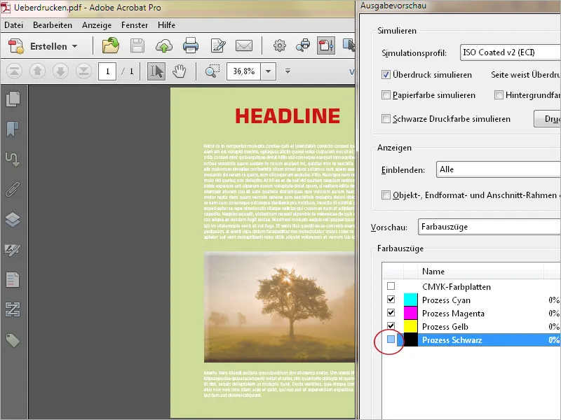 Häufige Probleme bei PDF-Dateien mit Acrobat beheben