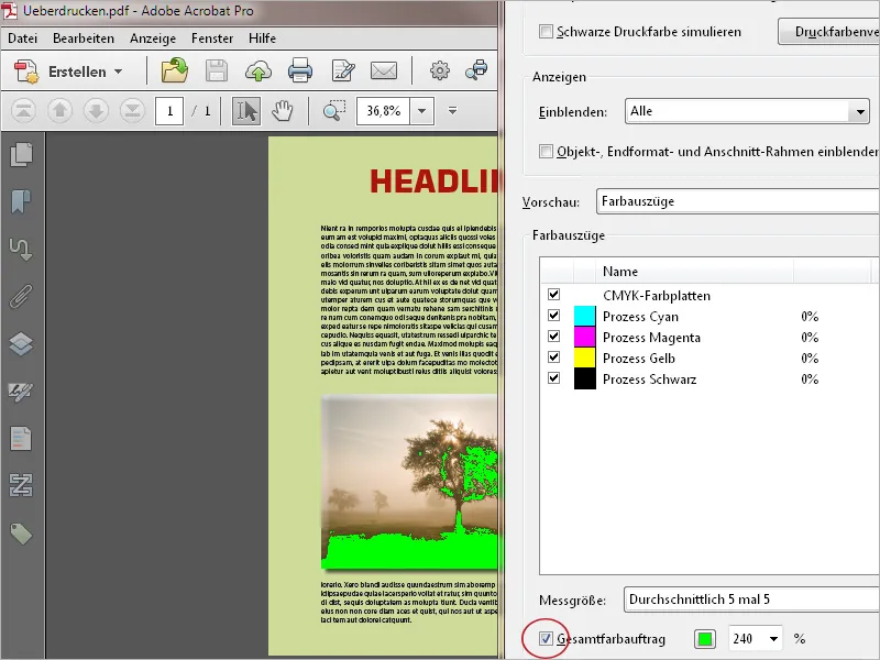 Häufige Probleme bei PDF-Dateien mit Acrobat beheben