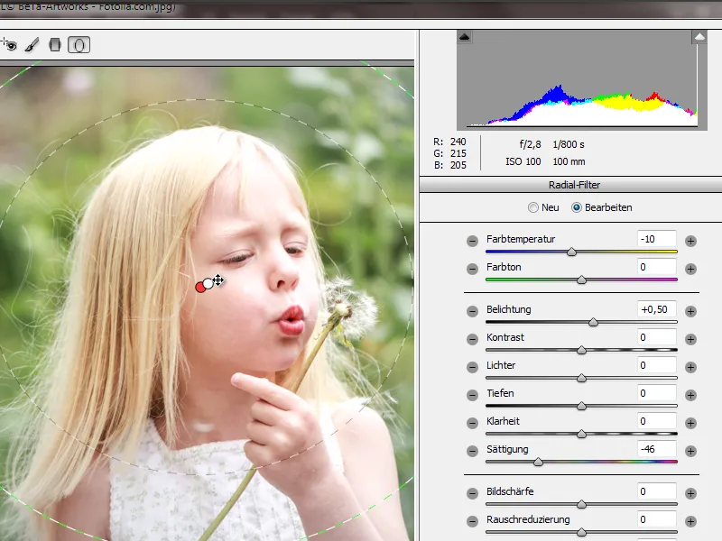 Neues in der Creative Cloud: Photoshop CC 14 (Juni 2013) – 05 Camera Raw 8