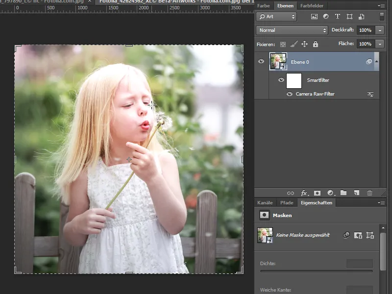 Neues in der Creative Cloud: Photoshop CC 14 (Juni 2013) – 05 Camera Raw 8