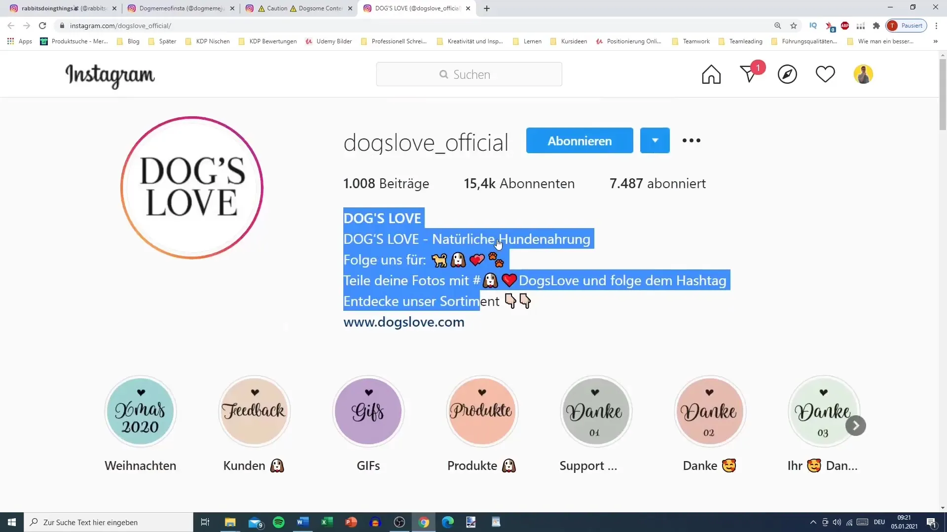 Seleccionar nicho y nombre para el perfil de Instagram