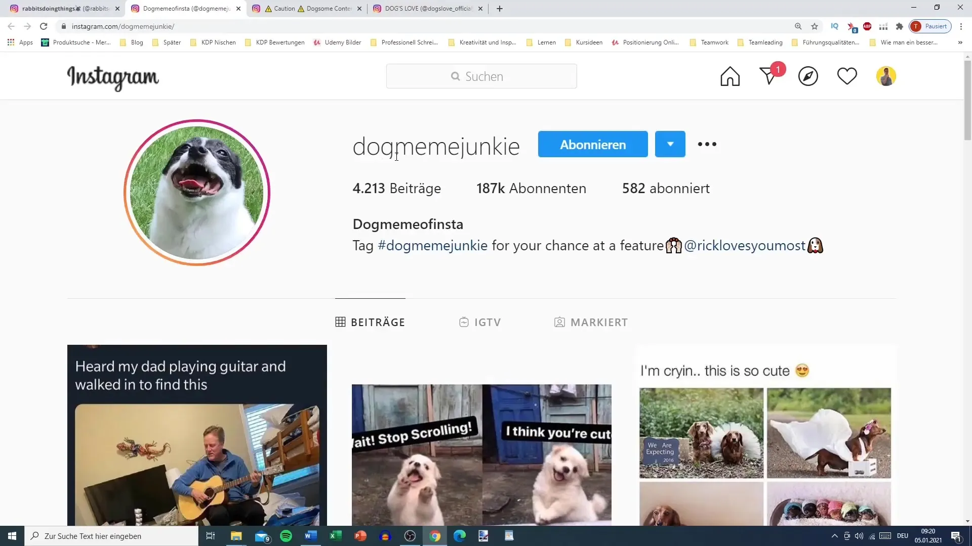 Seleccionar un nicho y un nombre para el perfil de Instagram