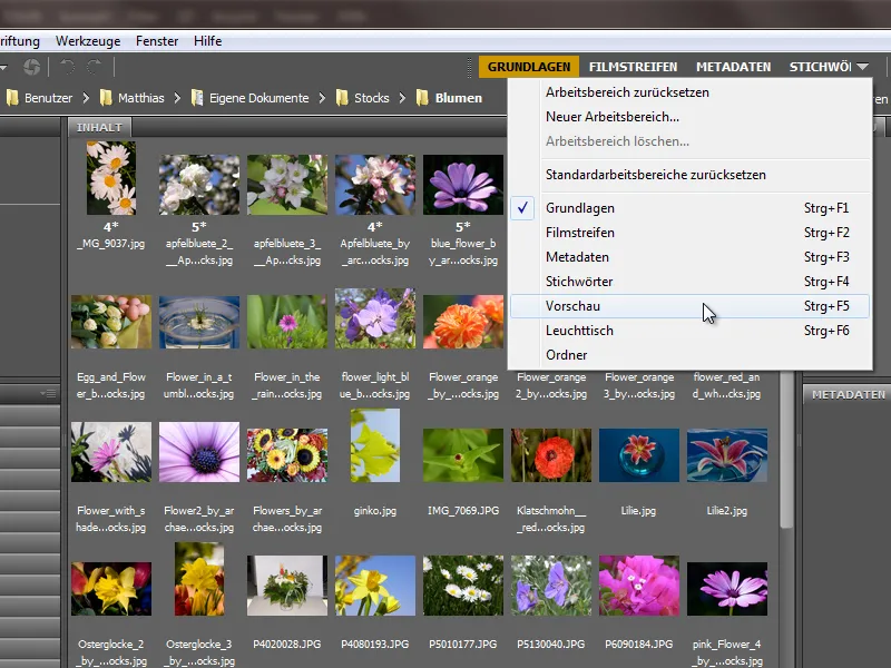 Neues in der Creative Cloud: Photoshop CC 14 (Juni 2013) – 07 Bridge CC und 3D-Funktionen