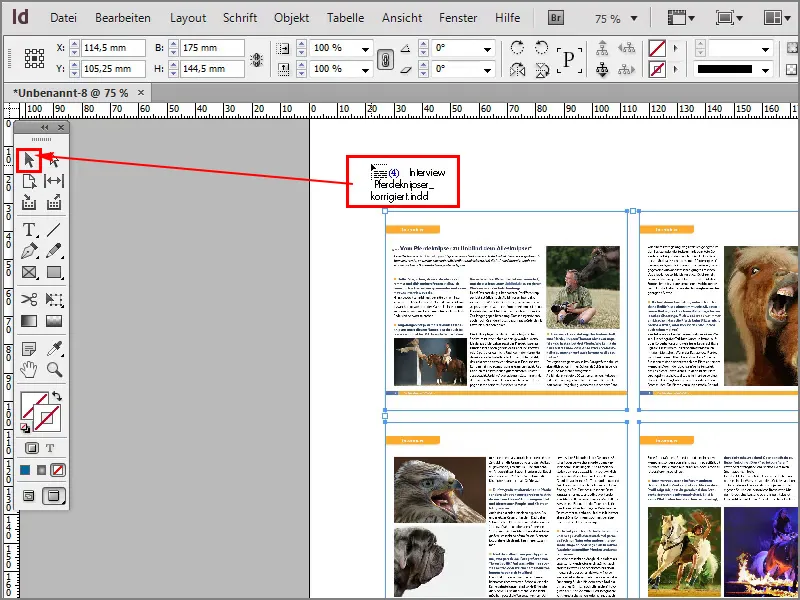 Adobe InDesign tips & tricks: Placing multiple pages of a PDF file or InDesign file as a contact sheet