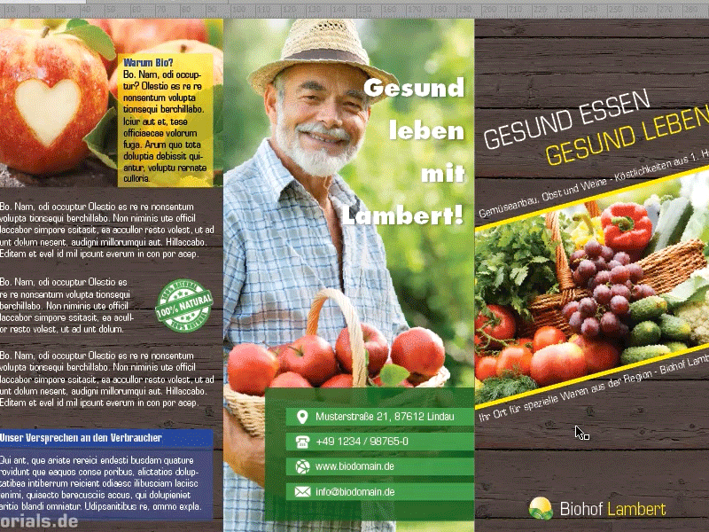Trucos y consejos de Adobe InDesign: Cree un efecto de rayo de sol mediante una copia inteligente