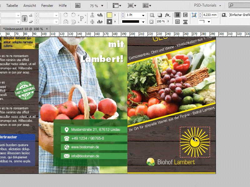 Tipps &amp; Tricks zu Adobe InDesign: Sonnenstrahleffekt/Sunbeams durch cleveres Kopieren erstellen