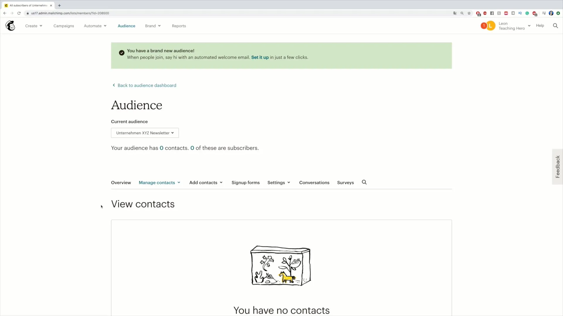 Audience in Mailchimp erstellen – Schritt-für-Schritt Anleitung