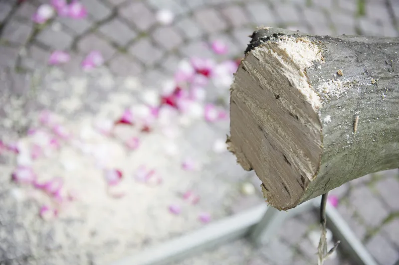 Fotografia di matrimonio Parte 07: Festeggiamenti