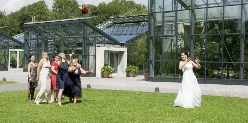 Fotografia di matrimonio Parte 07: Festeggiamenti