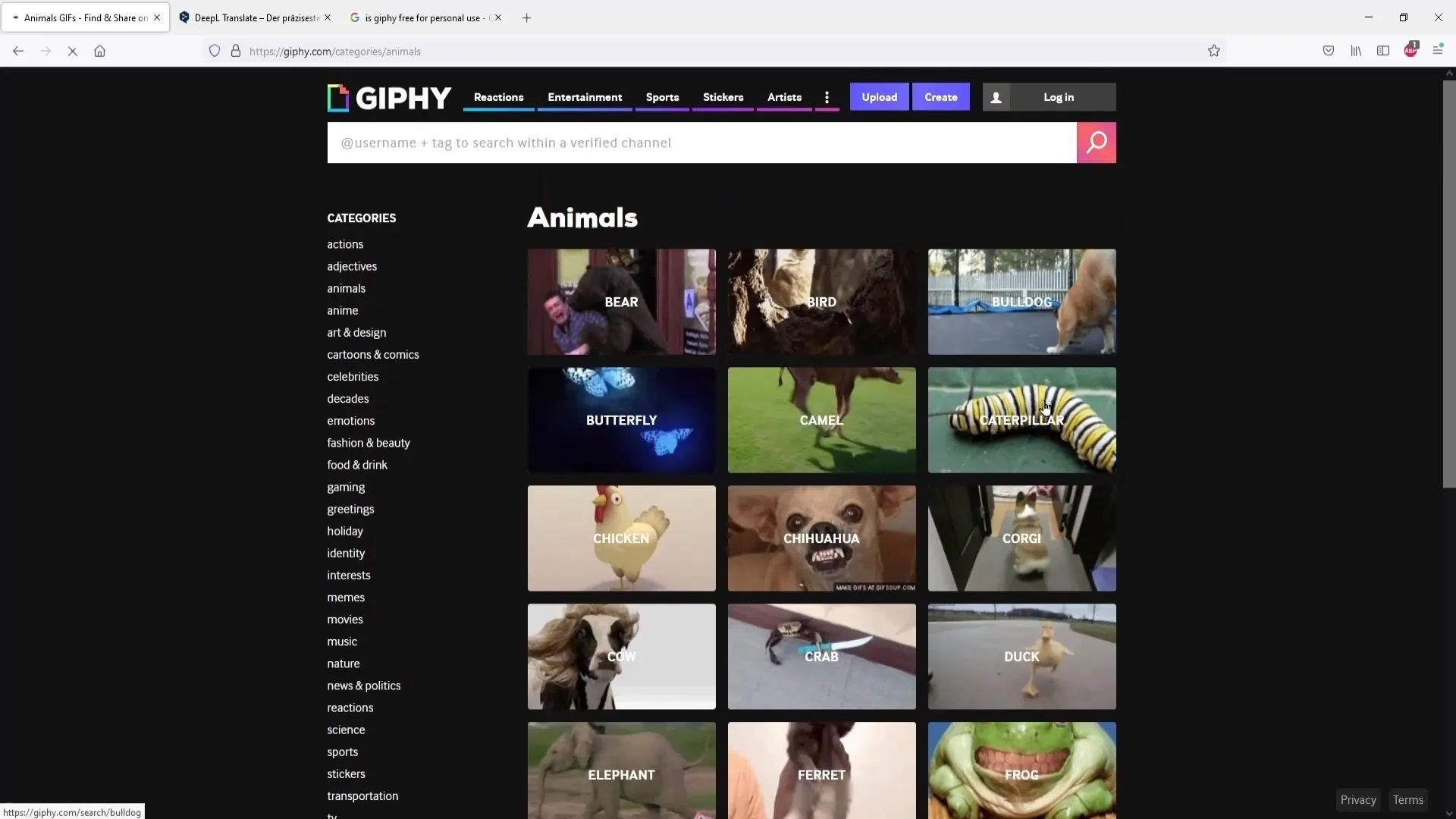 개인 알림에 무료 GIF 사용하기