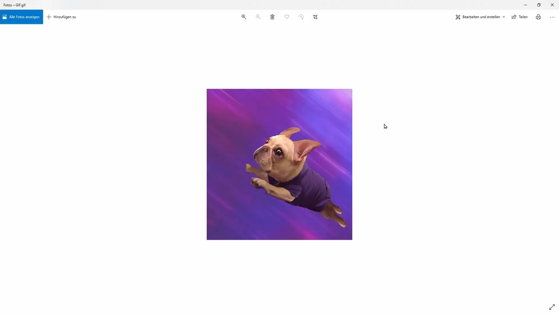 개인 알림에 무료 GIF 사용